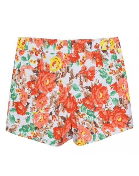 Vintage Colorful Chiffon Floral Printed High Waist Shorts