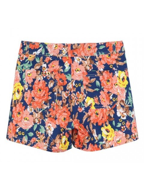 Vintage Colorful Chiffon Floral Printed High Waist Shorts